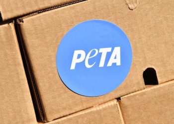 DAN GAINOR: The 5 craziest stories of October — from Karine Jean-Pierre to PETA plaques