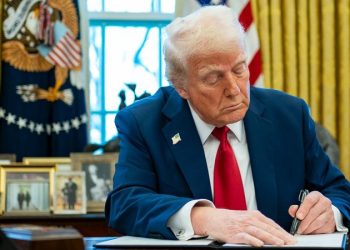 Trump signals plan to designate Muslim Brotherhood a terrorist organization