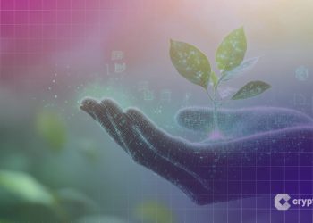 HashKey Capital Secures $250M First Close for Fund IV, Targets $500M AUM