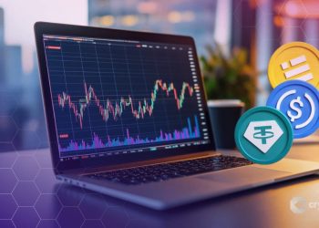 Ex-Citadel Engineers Raise $17M for Stablecoin Payments Startup Fin