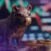 Bitcoin “Liveliness” Indicator Rises, Hinting the Bull Cycle May Not Be Over