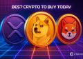Best Crypto to Buy Today 8 December – XRP, Dogecoin, Shiba Inu