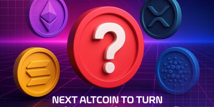 Next Altcoin to Turn $100 into $10,000 – 8 December