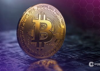 Crypto Traders Turn Cautious, Favor Bitcoin Over Risky Altcoin Bets