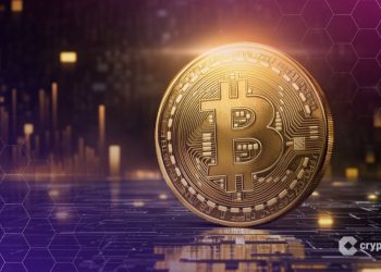 Silk Road Wallets Wake Up After 10 Years, Move $3M in Bitcoin