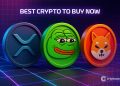 Best Crypto to Buy Now 10 December – XRP, PEPE, Shiba Inu