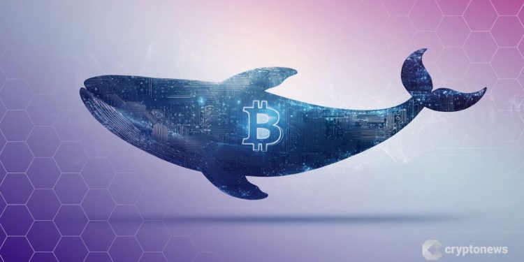 Covered Call Selling by Bitcoin Whales Is Weighing on Spot Prices, Analyst Says