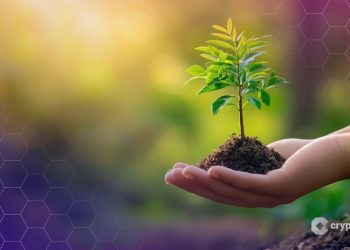 Curve Founder Proposes $6.6M CRV Grant for Ecosystem Development