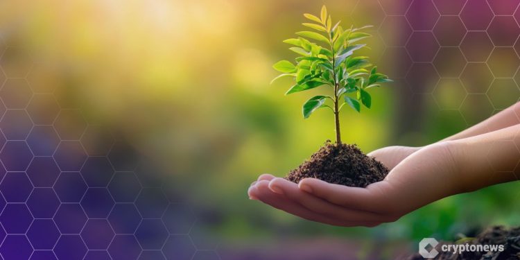 Curve Founder Proposes $6.6M CRV Grant for Ecosystem Development