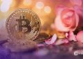 Bitcoin Adviser Reveals How Client Lost Retirement Funds to Romance Scam