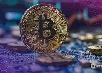 Bitcoin Now Less Volatile Than Nvidia as Investor Base Broadens, Says Bitwise