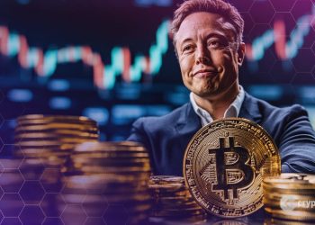 Bitcoin Bulls Eye Rebound after Elon Musk Predicts US Economic Surge