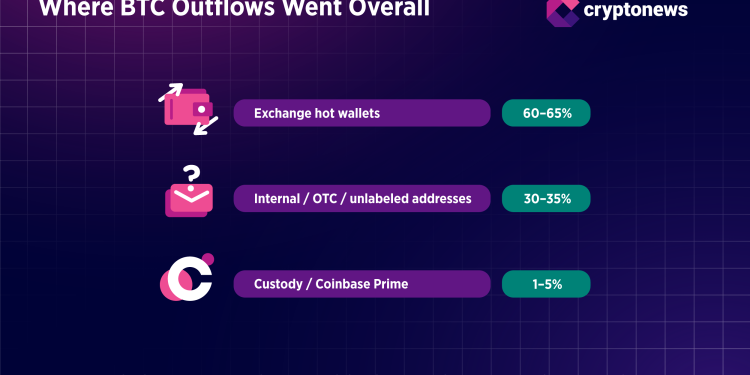 Is Bitcoin Price at Risk of a Deeper Reset? Whales Signal Caution | Research