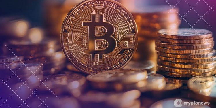 Bitwise CIO Sees Bitcoin on a “10-Year Grind Up” With Steady Returns