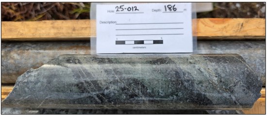 Cannot view this image? Visit: https://tradehavenhub.com/wp-content/uploads/2025/12/278191_forgeimg2_550.jpg