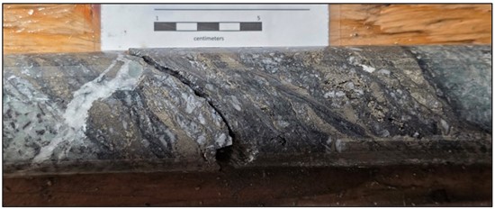 Cannot view this image? Visit: https://tradehavenhub.com/wp-content/uploads/2025/12/278191_forgepct6_550.jpg