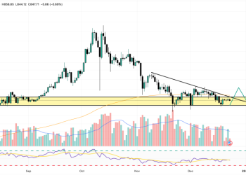 Best Cryptos To Buy Now 23 December – XRP, ADA, BNB