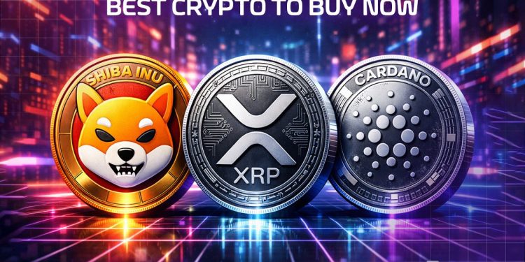 Best Crypto To Buy Now 18 December – SHIB, XRP, ADA