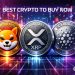 Best Crypto To Buy Now 18 December – SHIB, XRP, ADA