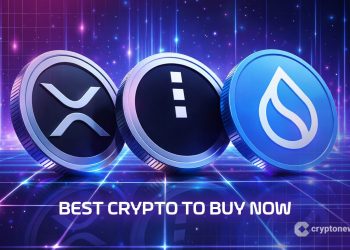 Best Crypto to Buy Now 16 December – XRP, Midnight, Sui