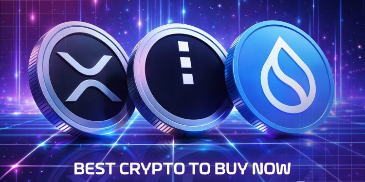 Best Crypto to Buy Now 16 December – XRP, Midnight, Sui