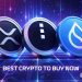 Best Crypto to Buy Now 16 December – XRP, Midnight, Sui