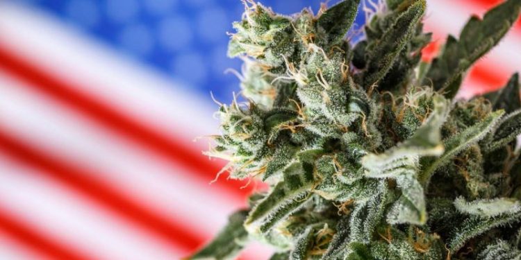 Analysts React: Trump Signs Executive Order to Reschedule Cannabis