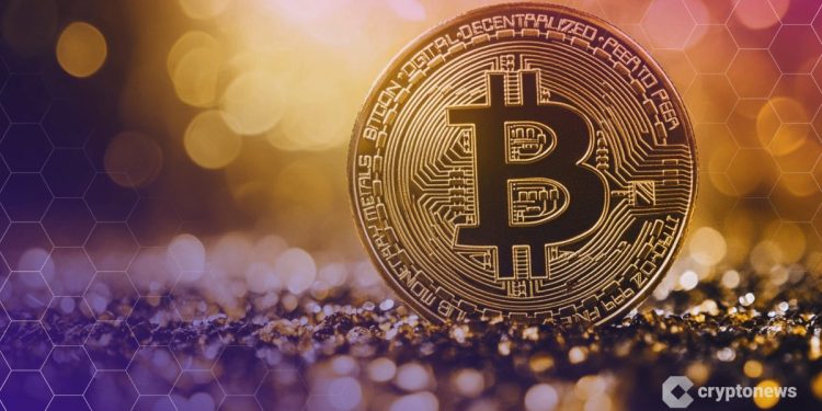 Bitwise CIO Blasts “Ridiculous” Bitcoin 401(k) Fears: “Less Volatile Than Nvidia”