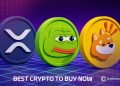 Best Crypto to Buy Now 5 January – XRP, PEPE, BONK
