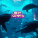 Best Crypto to Buy Now 6 January – XRP, Dogecoin, PEPE